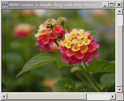 How to create a simple drag and drop image viewer?